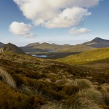 Campbell Island NZ