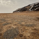 Cape Adare, Victoria Land, East Antarctica, Adelie Penguin nests