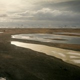 Cape Adare, Victoria Land, East Antarctica, Borchgrevink's hut