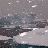 Fish Islands, Antarctica Peninsula