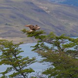 National Park Torres del Paine