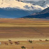 Near el Calafate 